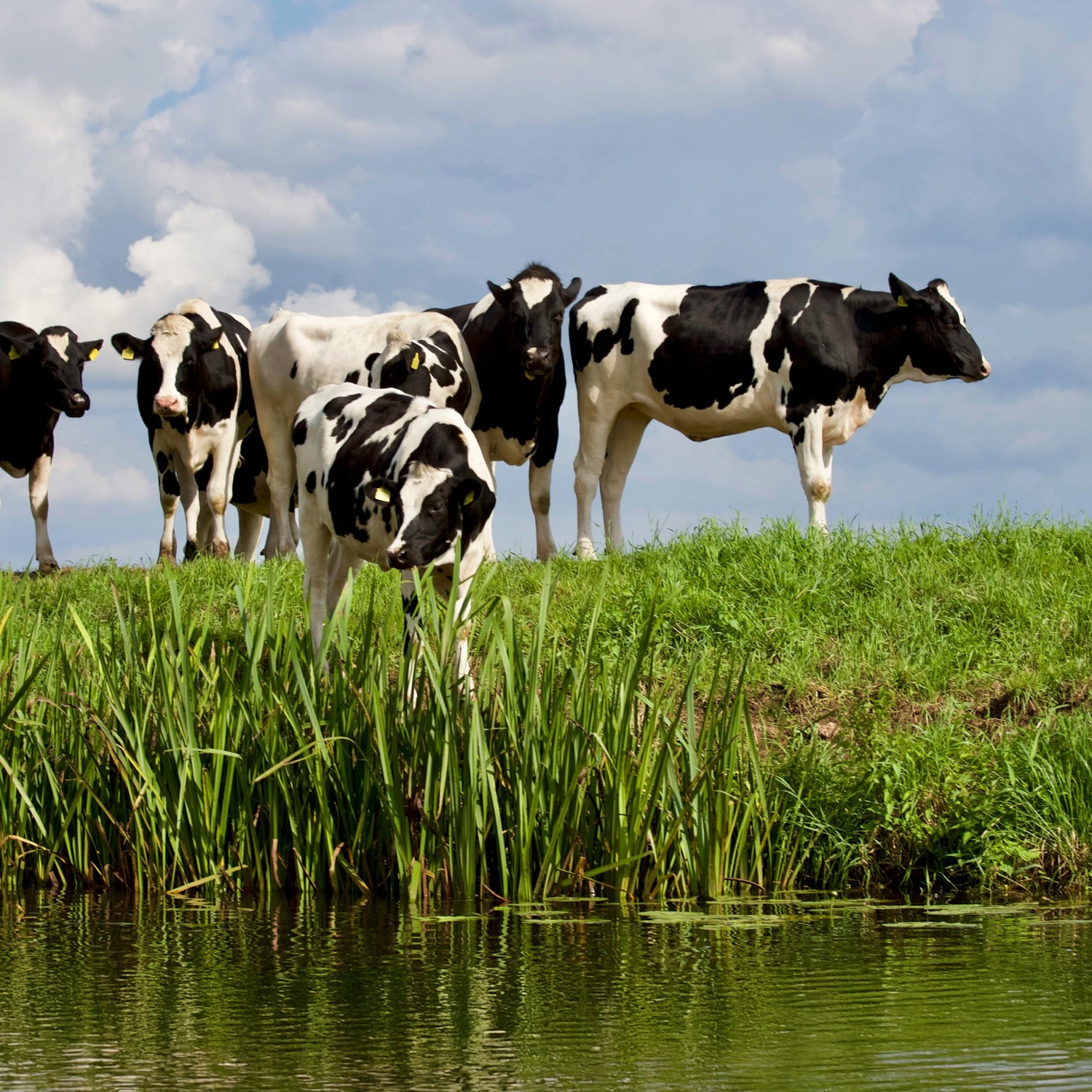 •%20pexels 1175048257 21675714