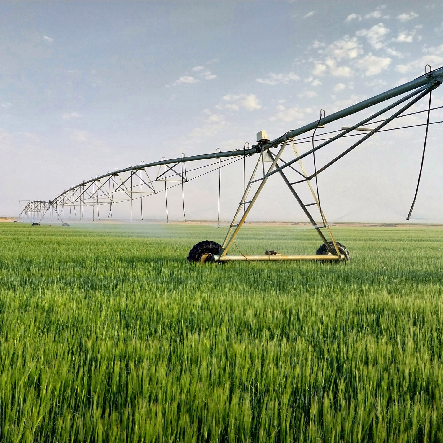 •%20pexels 1175048257 21675714